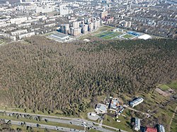 Санкт-Петербург, Пискарёвский парк сверху (2)